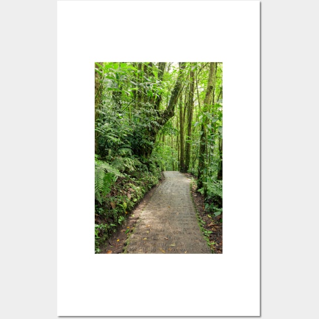 Stone path in Monteverde cloud forest Costa Rica Wall Art by Juhku